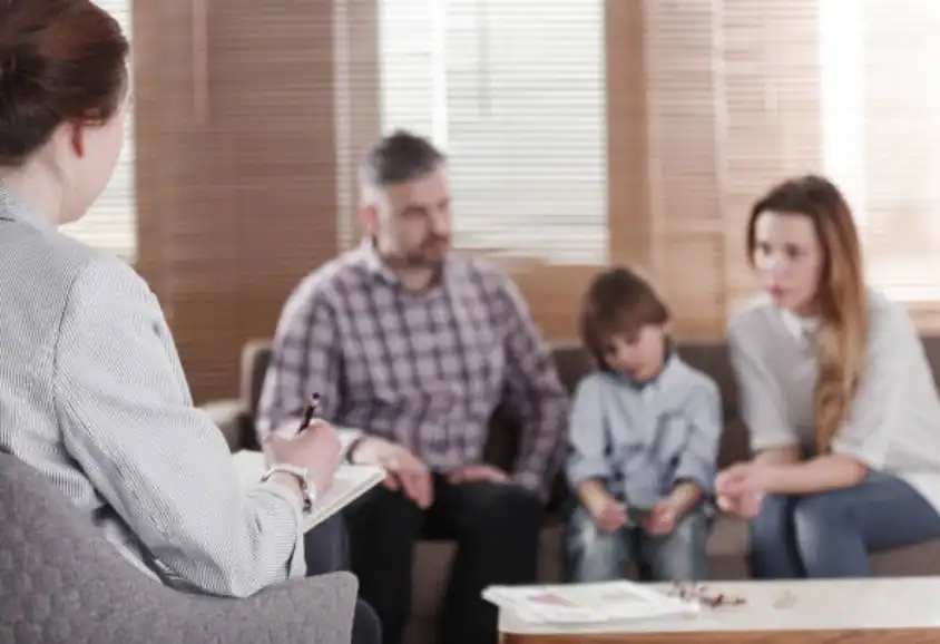 Child Custody and Relocation in International Family Disputes Crook